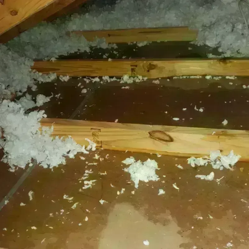 Attic Water Damage in Daleville, AL