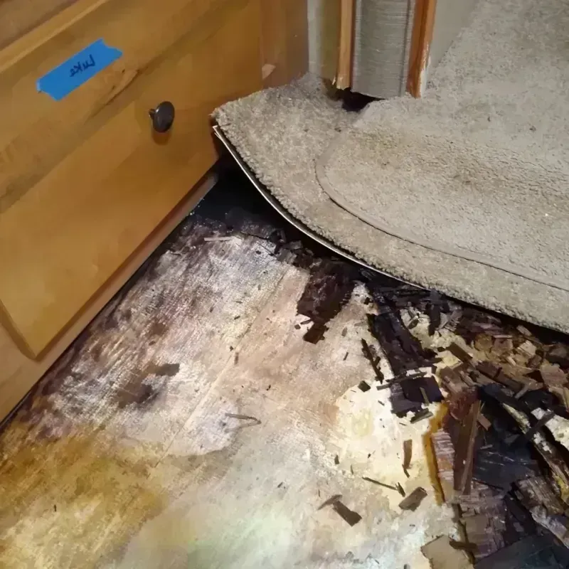 Wood Floor Water Damage in Daleville, AL